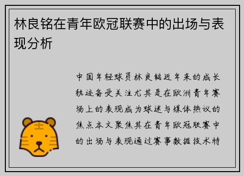 林良铭在青年欧冠联赛中的出场与表现分析
