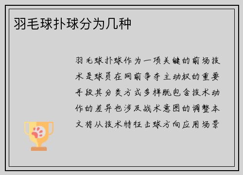 羽毛球扑球分为几种